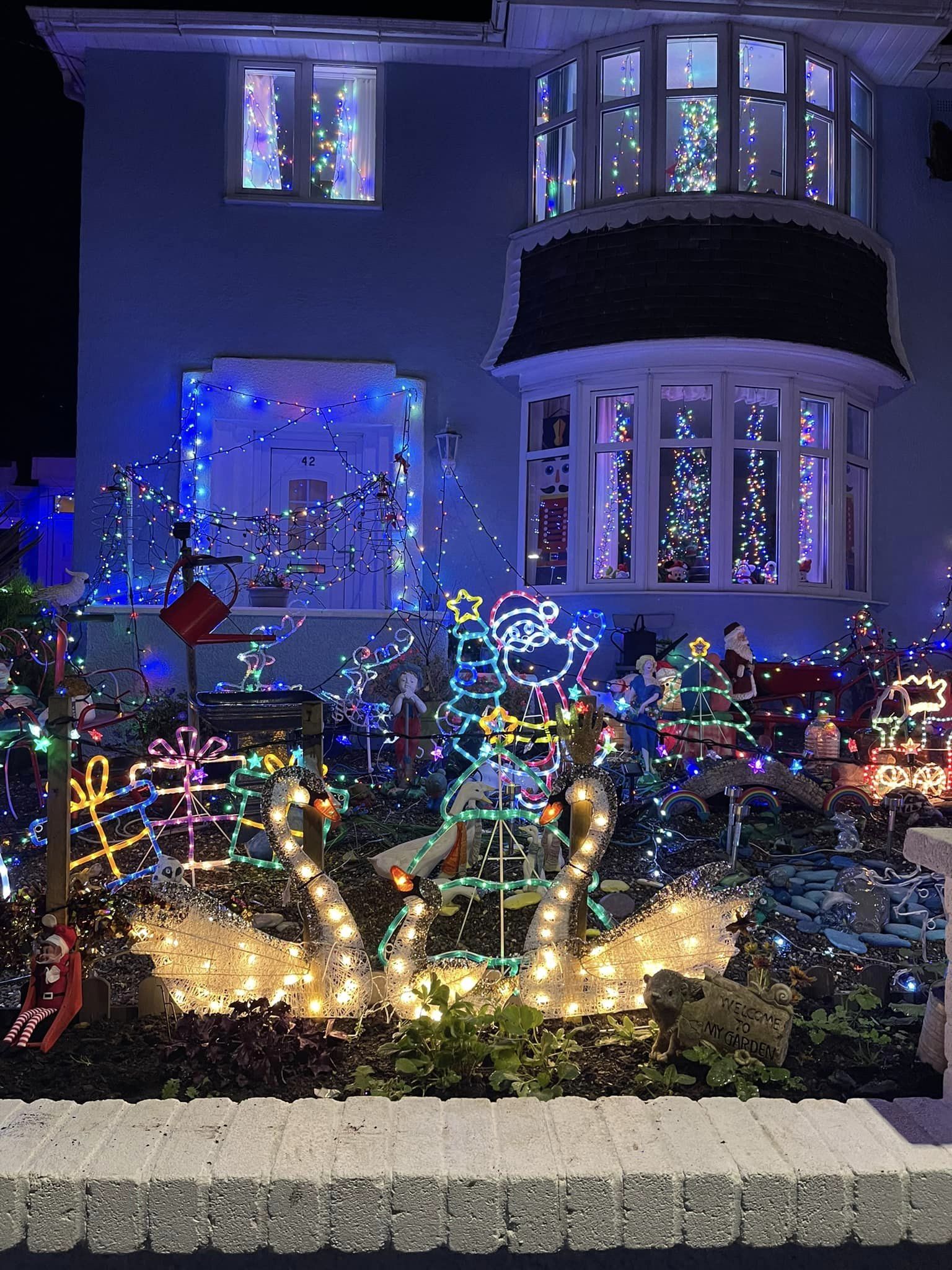 Livsey Christmas lights