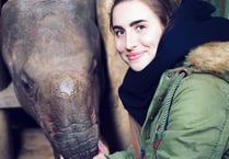 Veterinary practice can now treat exotic pets