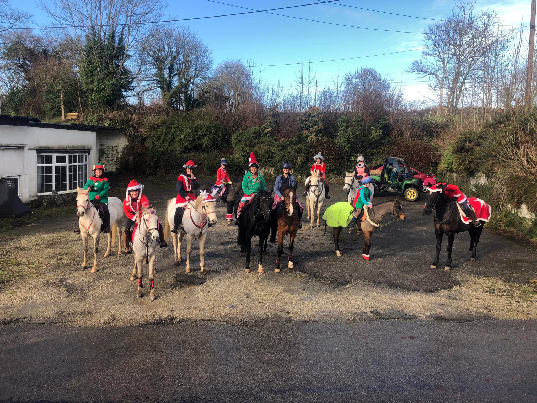 Pictured are some of the riders and their festive horses taking part