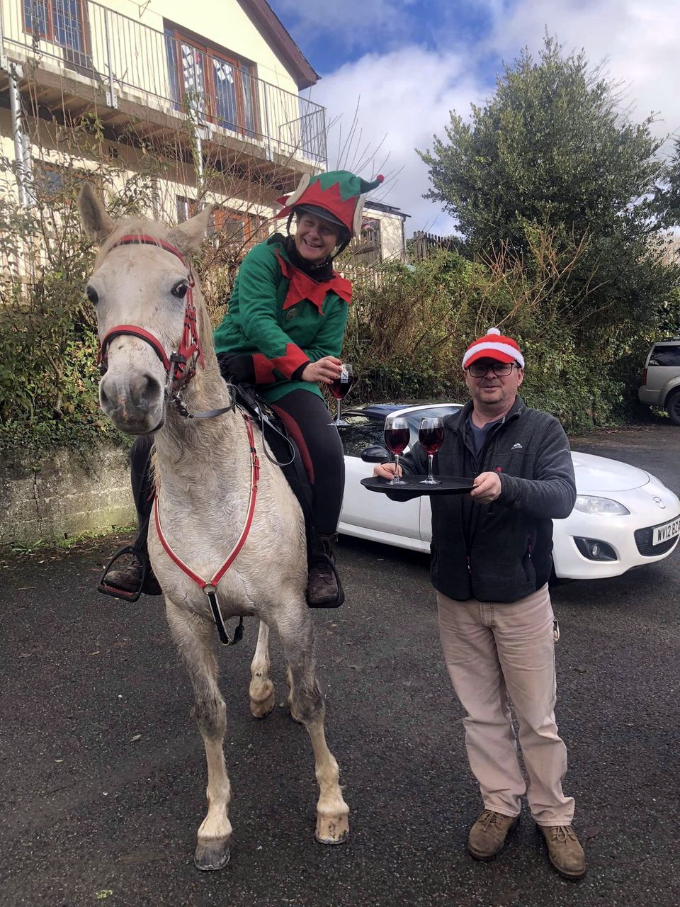 Pictured are some of the riders and their festive horses taking part