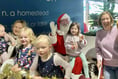A very busy Christmas for Lions
