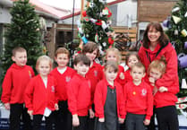 Best of British accolade for Badshot Lea Infant School tree