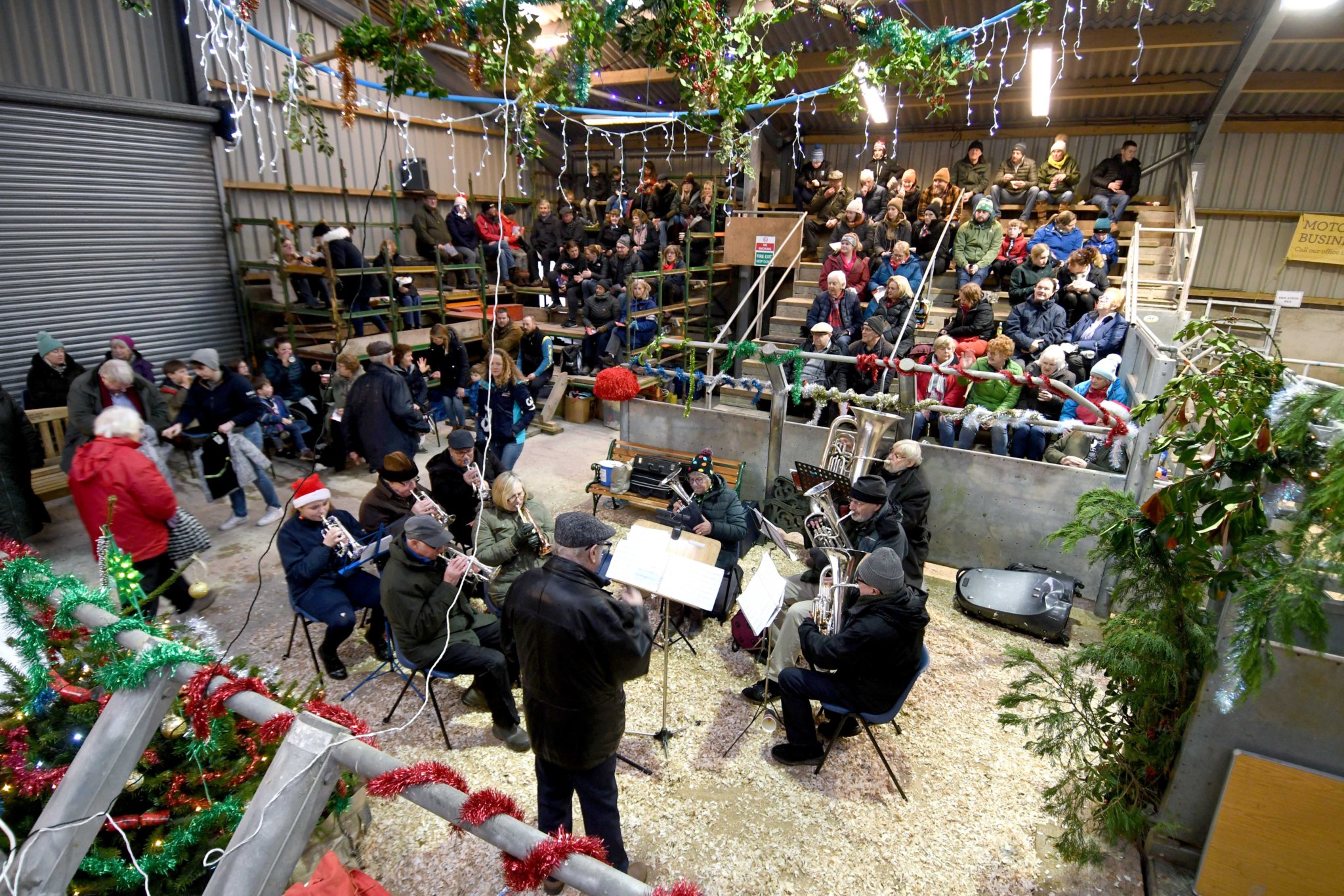 Trveor Quirk Prime Stock Show 2022