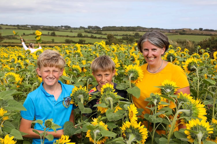 Edward Hampton, George Hampton & Zoe Hampton at their Sunflower Field, Ballabeg. Photo by Callum Staley (CJS Photography).