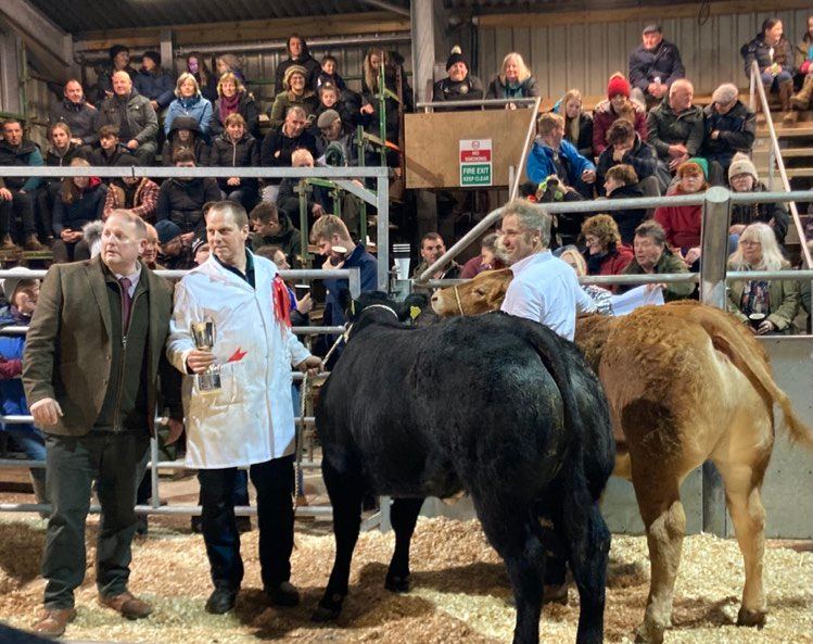 Trveor Quirk Prime Stock Show 2022