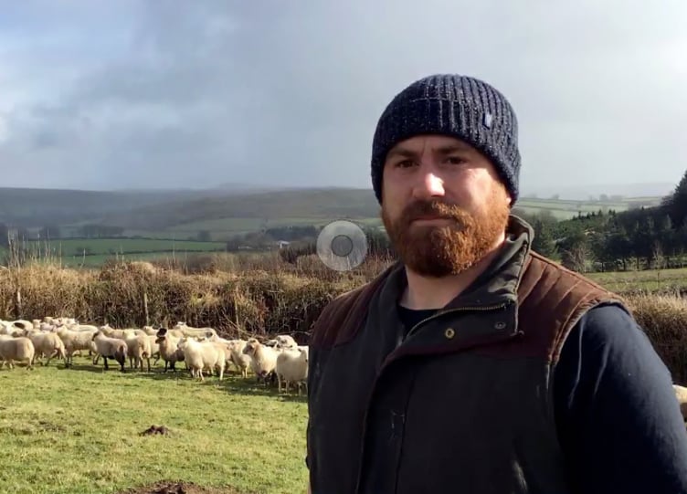Dartmoor farmer Tom Havill who lost stock to a dog attack.