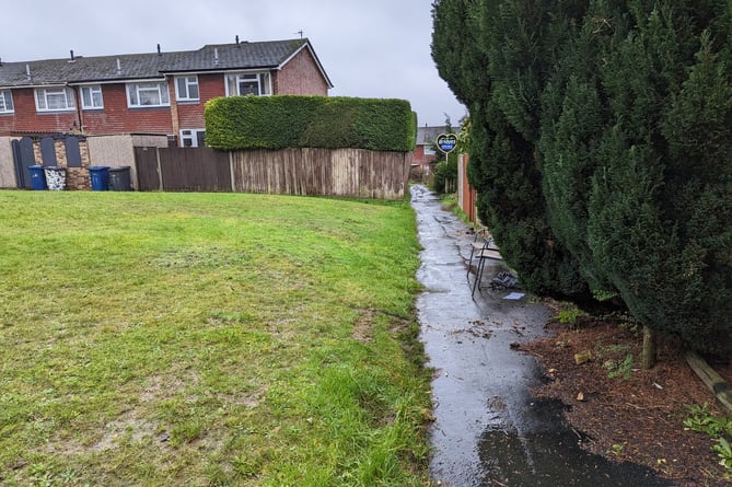 The communal grassed area in the Barrie Road / Sandy Hill Road area where the gruesome discovery was made