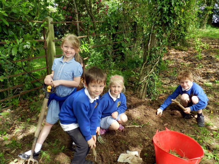 Children from Morchard Bishop Primary School working hard in the new sensory garden in the school grounds. NP 190522 05