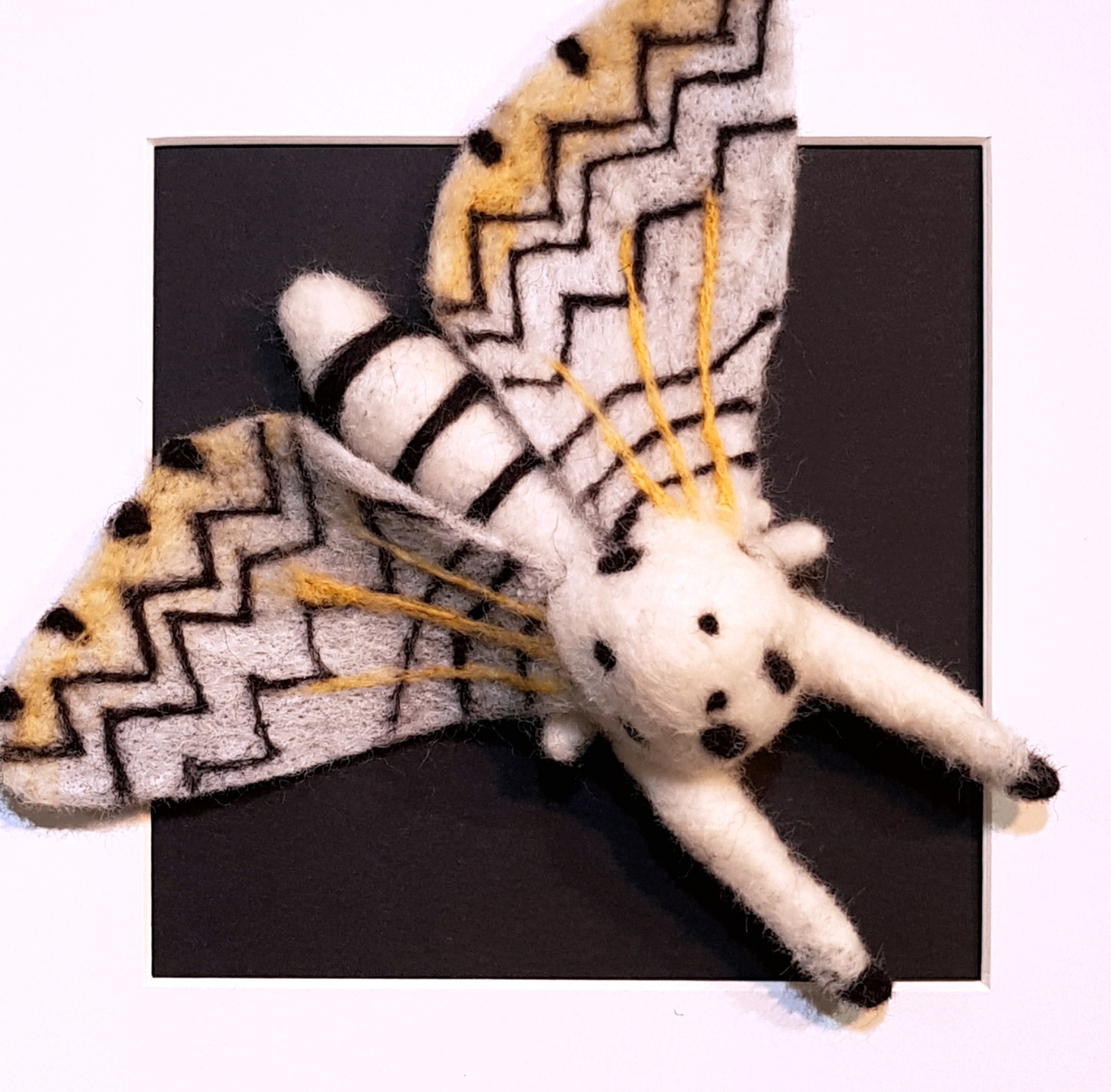 Puss Moth by Alx King at the Insectmania exhibition at the Hodgson Loom Gallery
