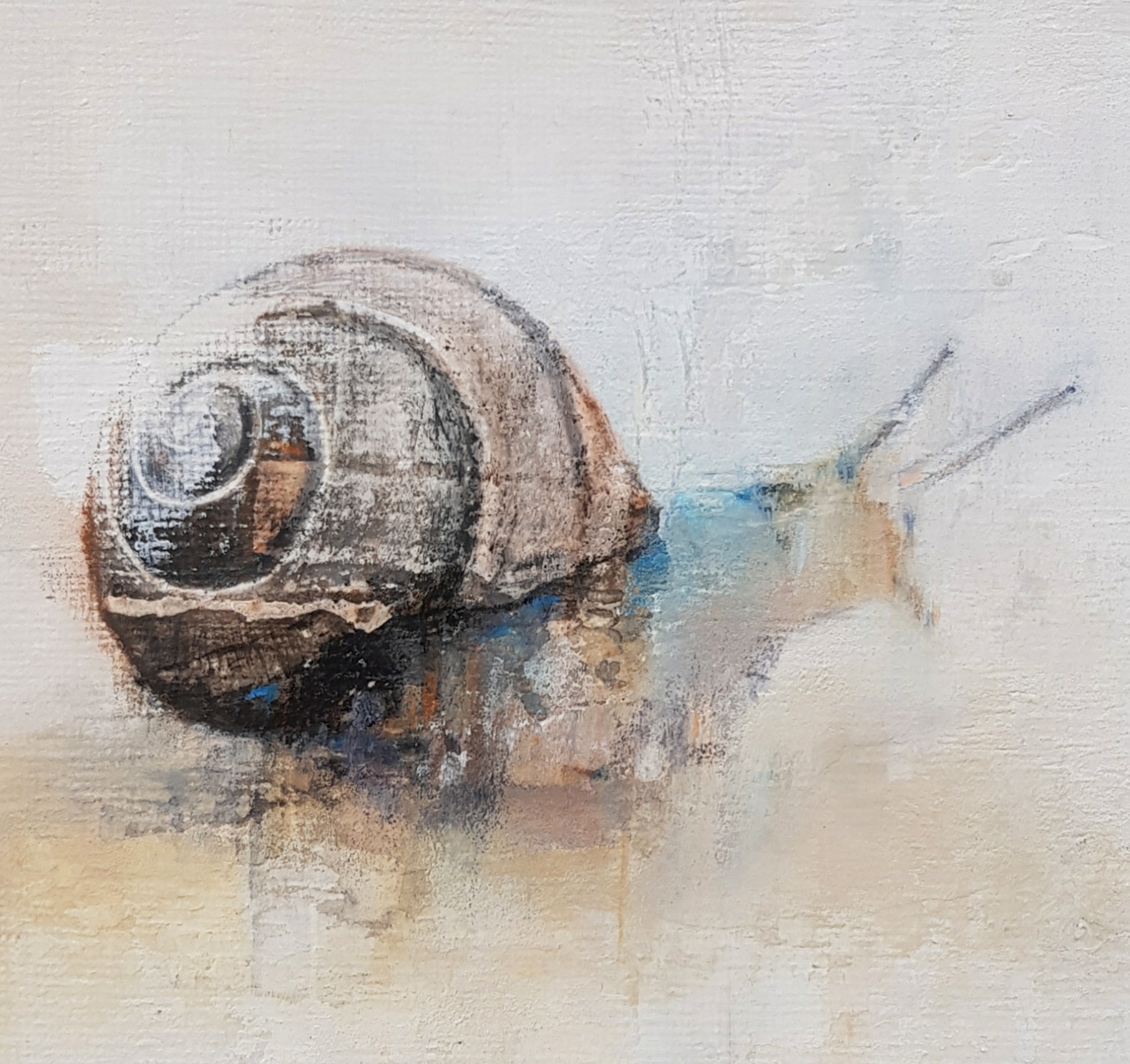 Snail by Ellie Baker