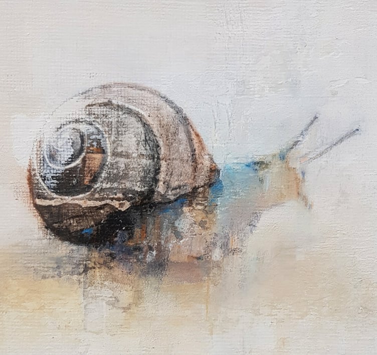 Snail by Ellie Baker