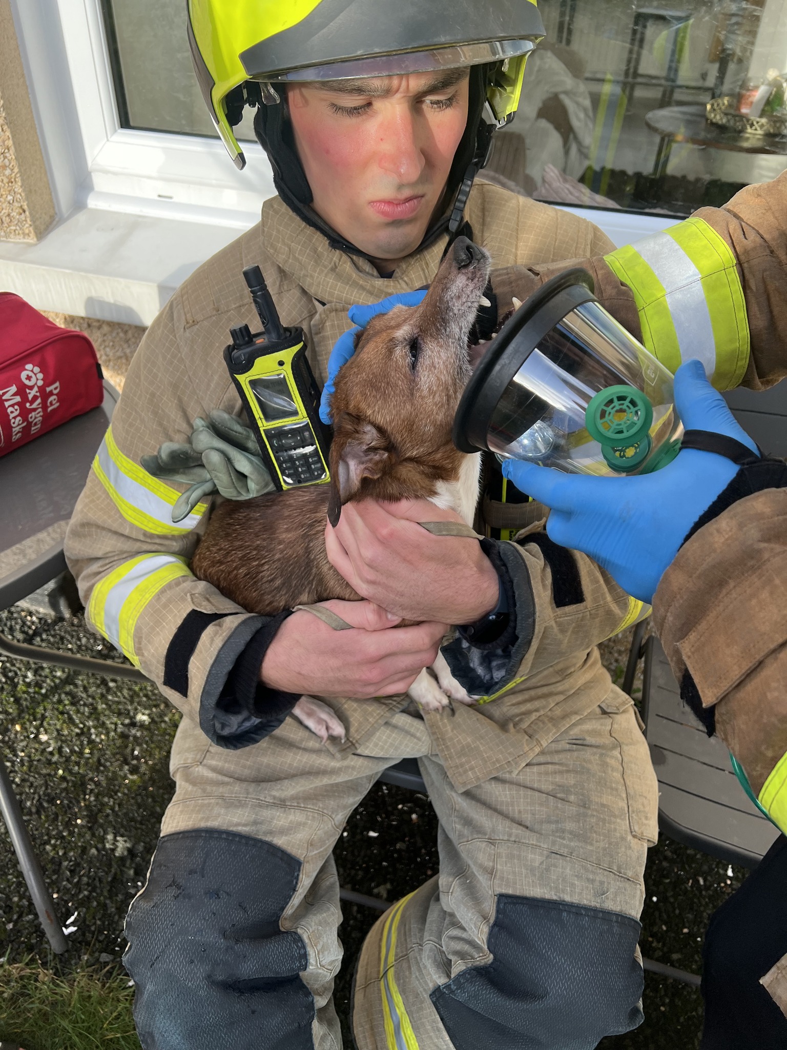 Firefighter Grady gives oxygen to Milo
