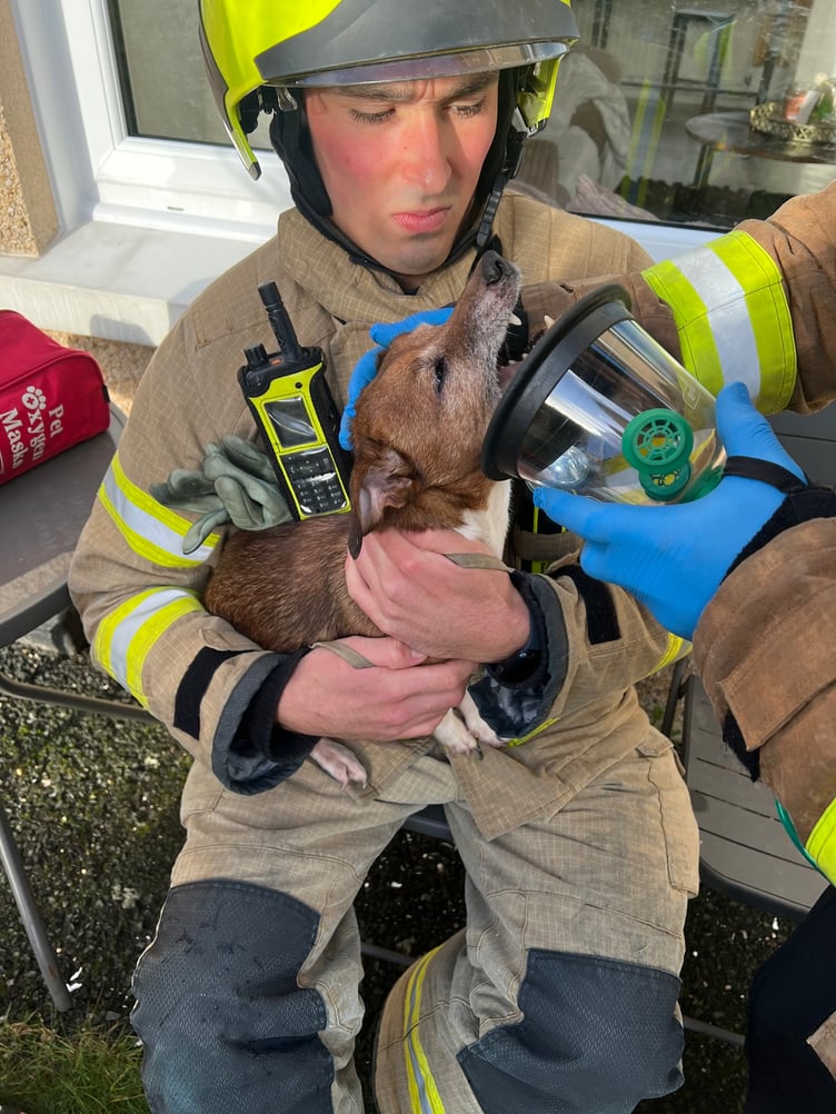Firefighter Grady gives oxygen to Milo