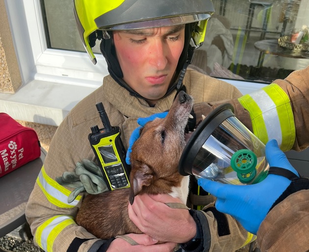 Firefighter Grady with Milo