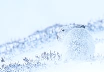 Woking's top photographic talent on show
