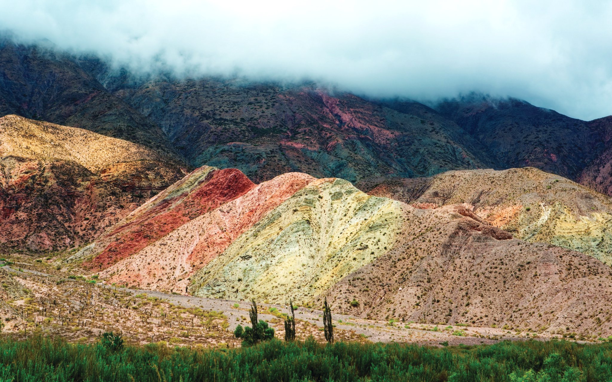 Coats Of Many Colours, by Andrew Turner.