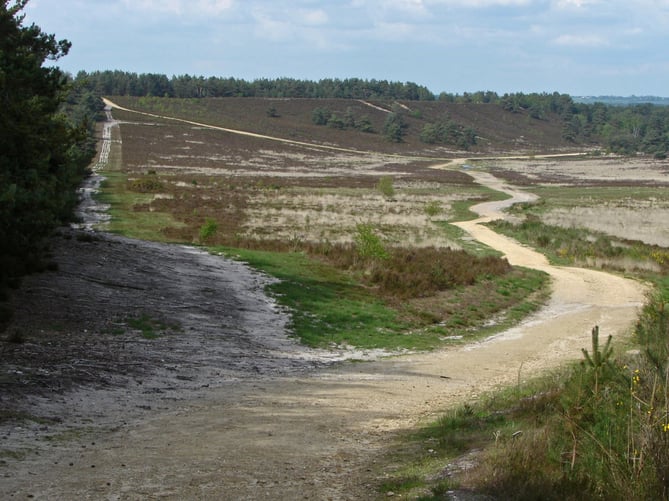 Hankley Common near Elstead is popular with walkers and cyclists