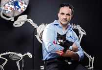 Register your dog as a lifesaver at The Supervet's clinic near Milford