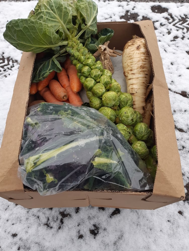 winter veg box