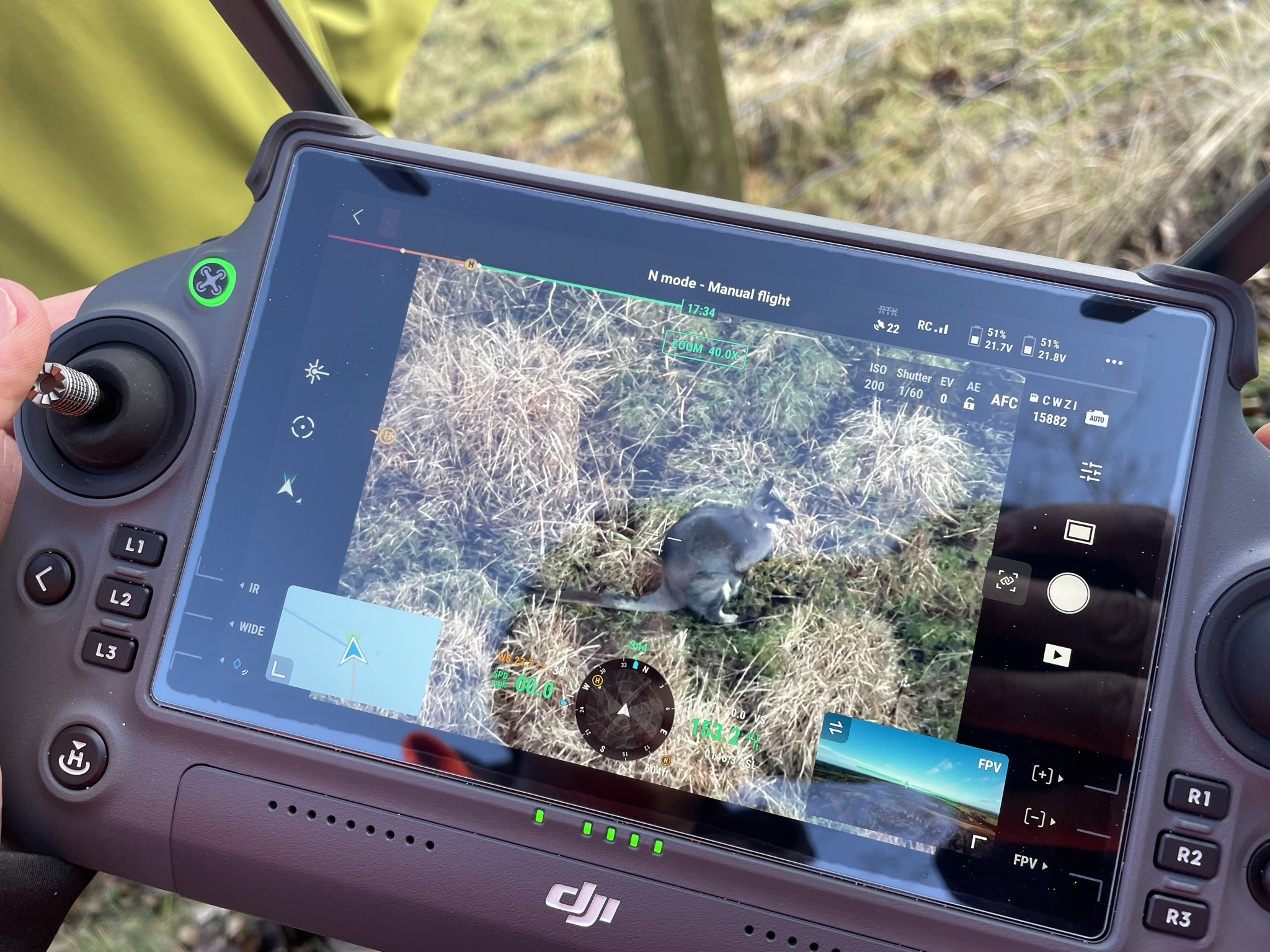 New technology is being used to track the island's wallabies