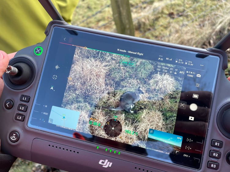 New technology is being used to track the island's wallabies