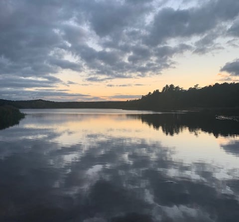 Amazing reflective scenery at Frensham Little Pond seen by Estelle Christmas, from Wrecclesham, whilst out dog walking