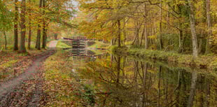 Boat hire and camping could end on Basingstoke Canal due to cost