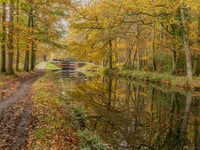 Boat hire and camping could end on Basingstoke Canal due to cost