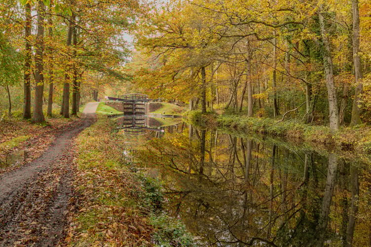 Basingstoke Canal