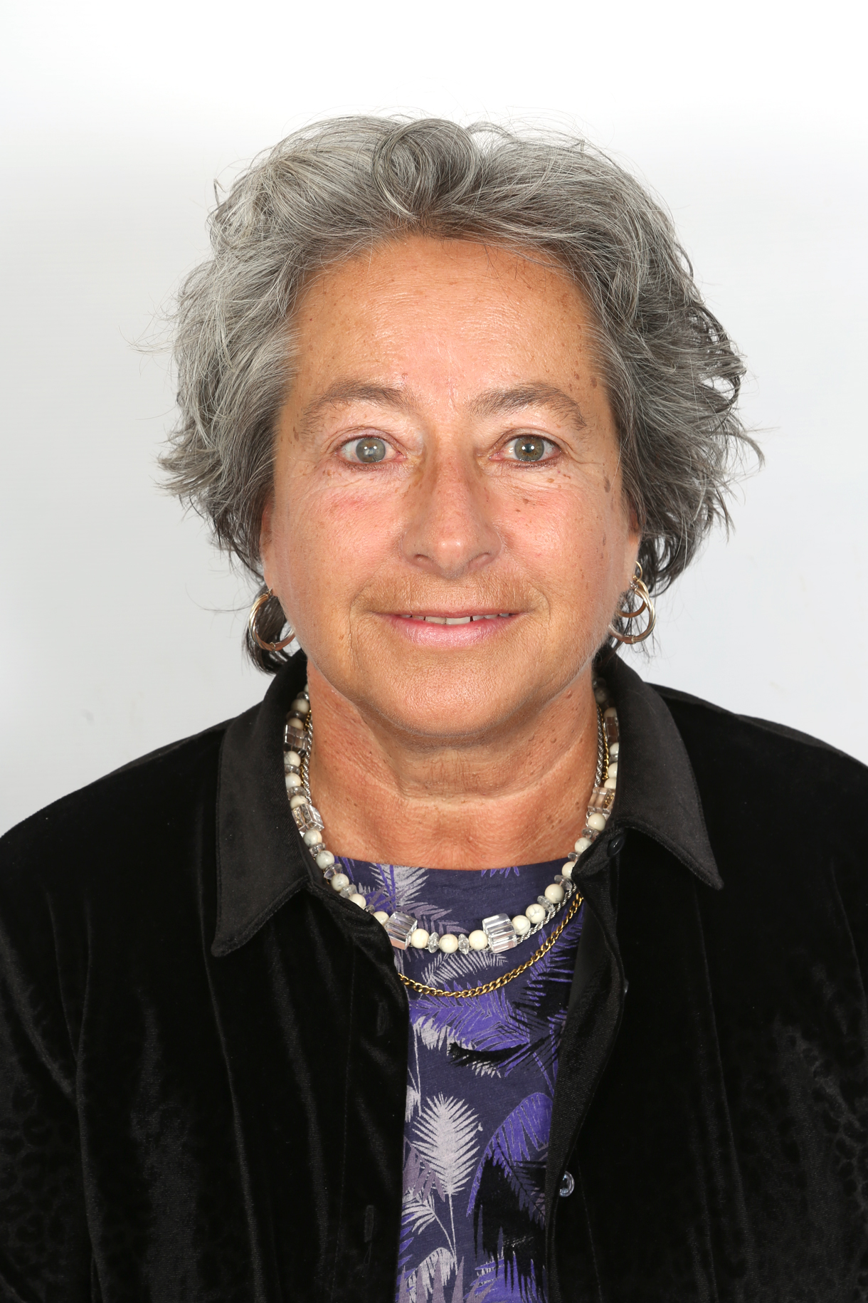 Monmouthshire County Council’s cabinet member for climate change and the environment, Cllr Catrin Maby