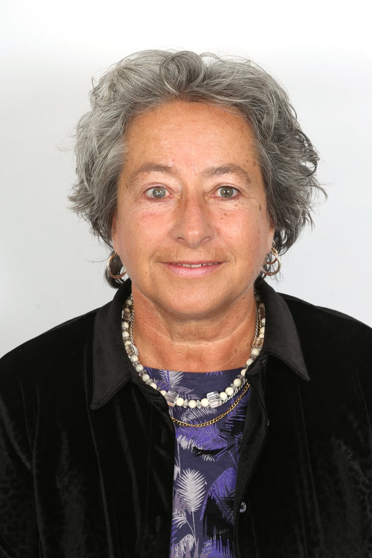 Monmouthshire County Council’s cabinet member for climate change and the environment, Cllr Catrin Maby