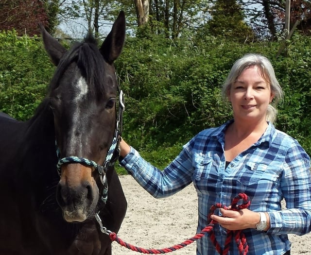 Competition to support Mare and Foal Sanctuary