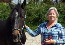 Competition to support Mare and Foal Sanctuary