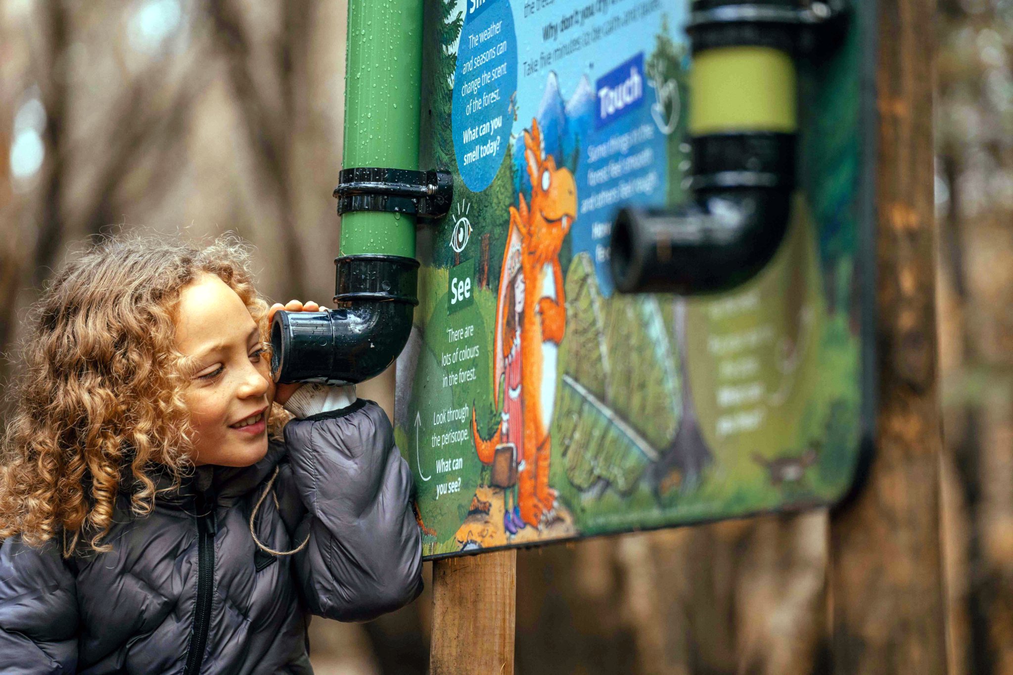 Meet Zog at Haldon Forest Park.