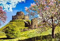 Castle painting to feature in London gallery exhibition