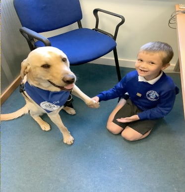 Bertie provides ongoing support