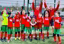 Chiddingfold Youth Chiefs under-tens beat Beacon Hill Tigers in final