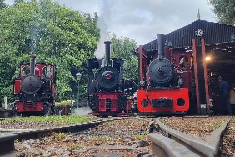 Old Kiln Light Railway, Rural Life Living Museum, Tilford.