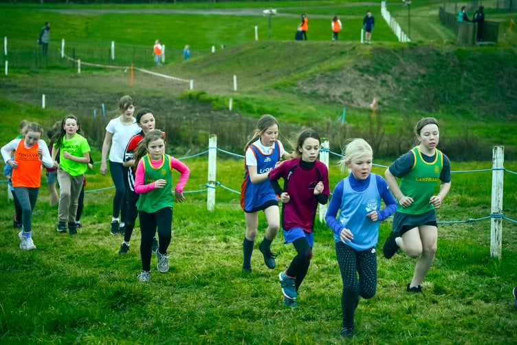The Year 3 and 4 girls race