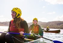 Scouts looking for volunteers