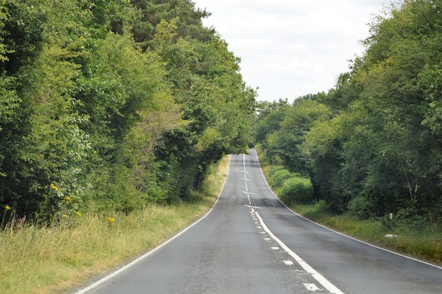 A286 Haslemere Road