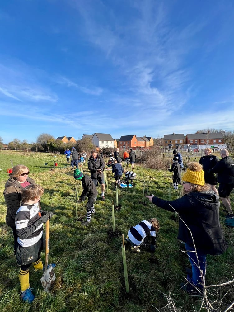 Farnham's juniors planted 140 trees