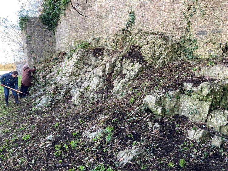Pembroke fern garden after clearing