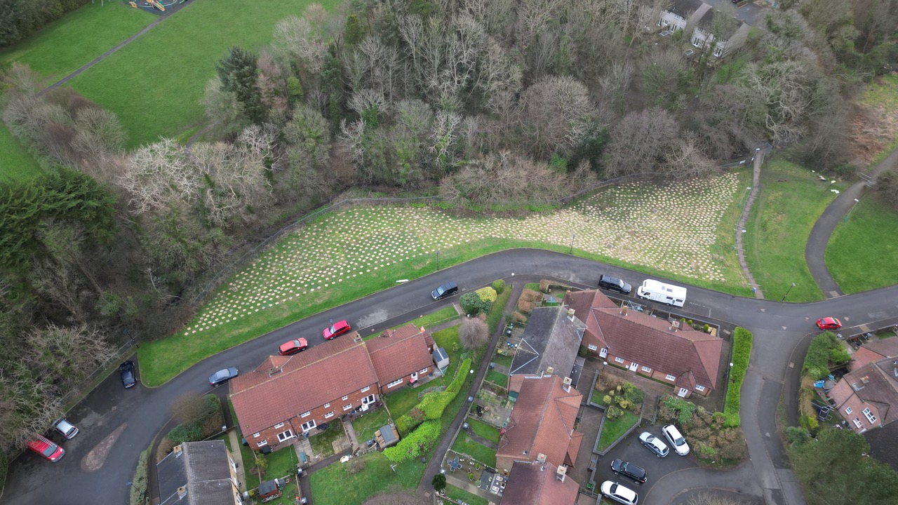 The completed planting of over 5,000 trees in Douglas by Hartford Homes