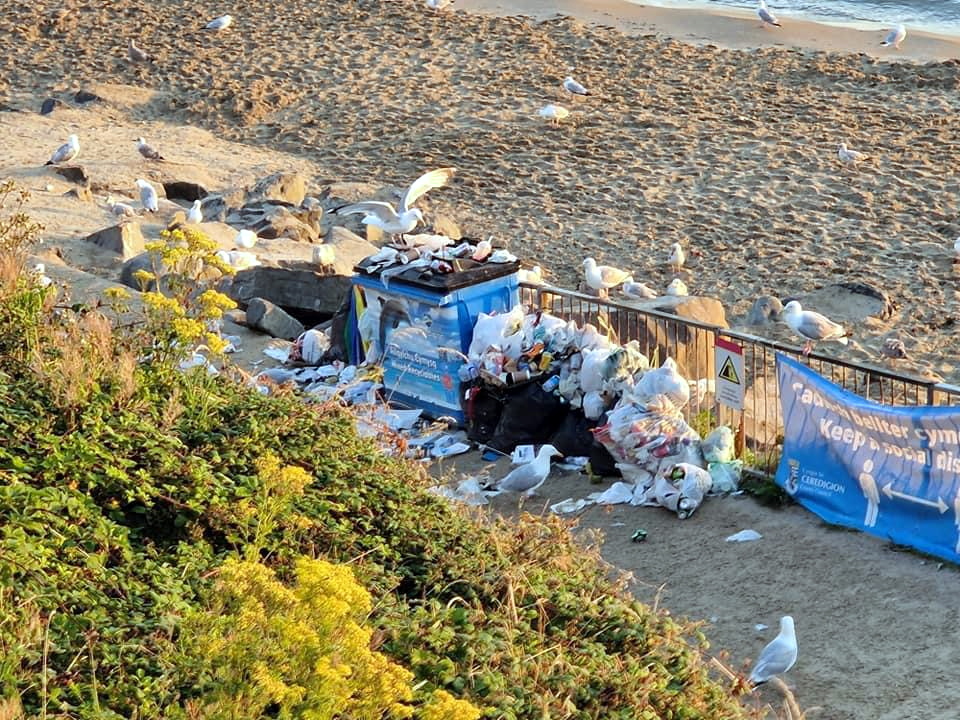Plans to take away bins at New Quay, which already overflow with rubbish in the summer, have caused outrage