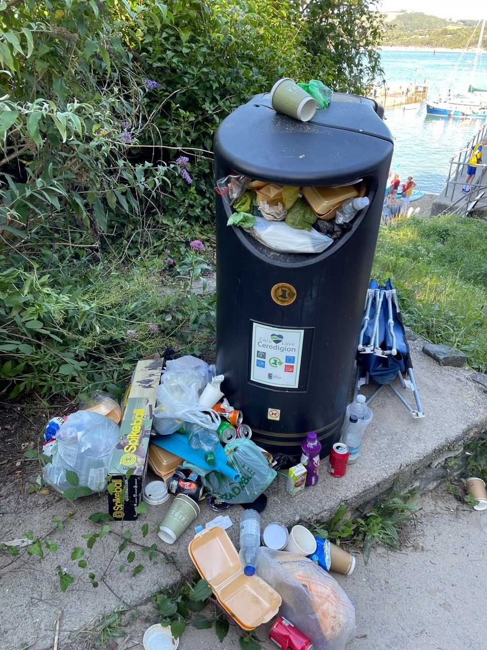 Plans to take away bins at New Quay, which already overflow with rubbish in the summer, have caused outrage