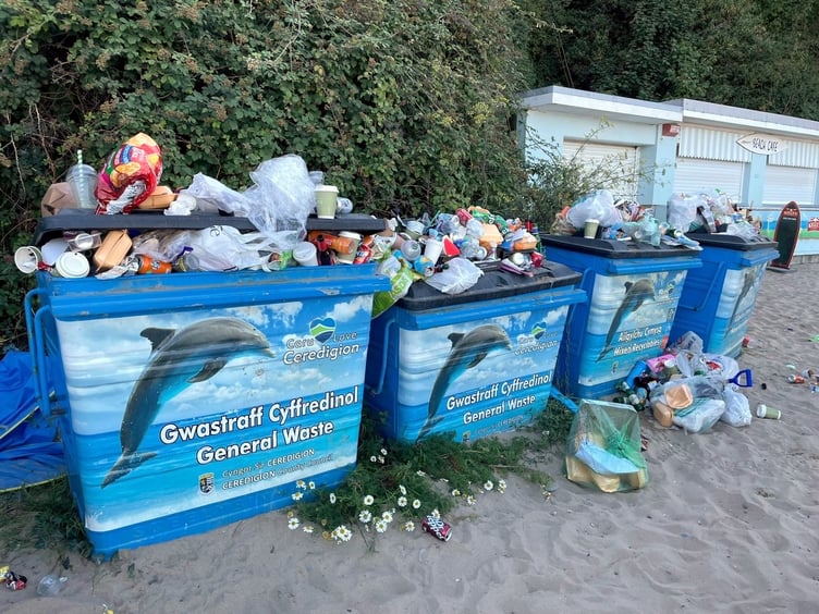 Plans to take away bins at New Quay, which already overflow with rubbish in the summer, have caused outrage