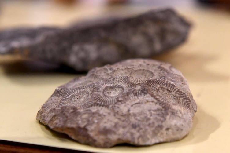 The first day of the Manx Nature Show at Peel Cathedral, presented by Manx Whale and Dolphin Watch - fossils supplied by nature author Steve Wright