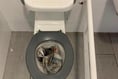 Peel toilets vandalized