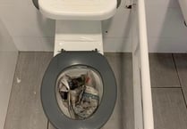 Peel toilets vandalized